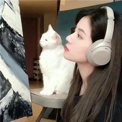 汤姆猫与杰利鼠：飙风天王